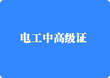 正在播放骚逼电工中高级证